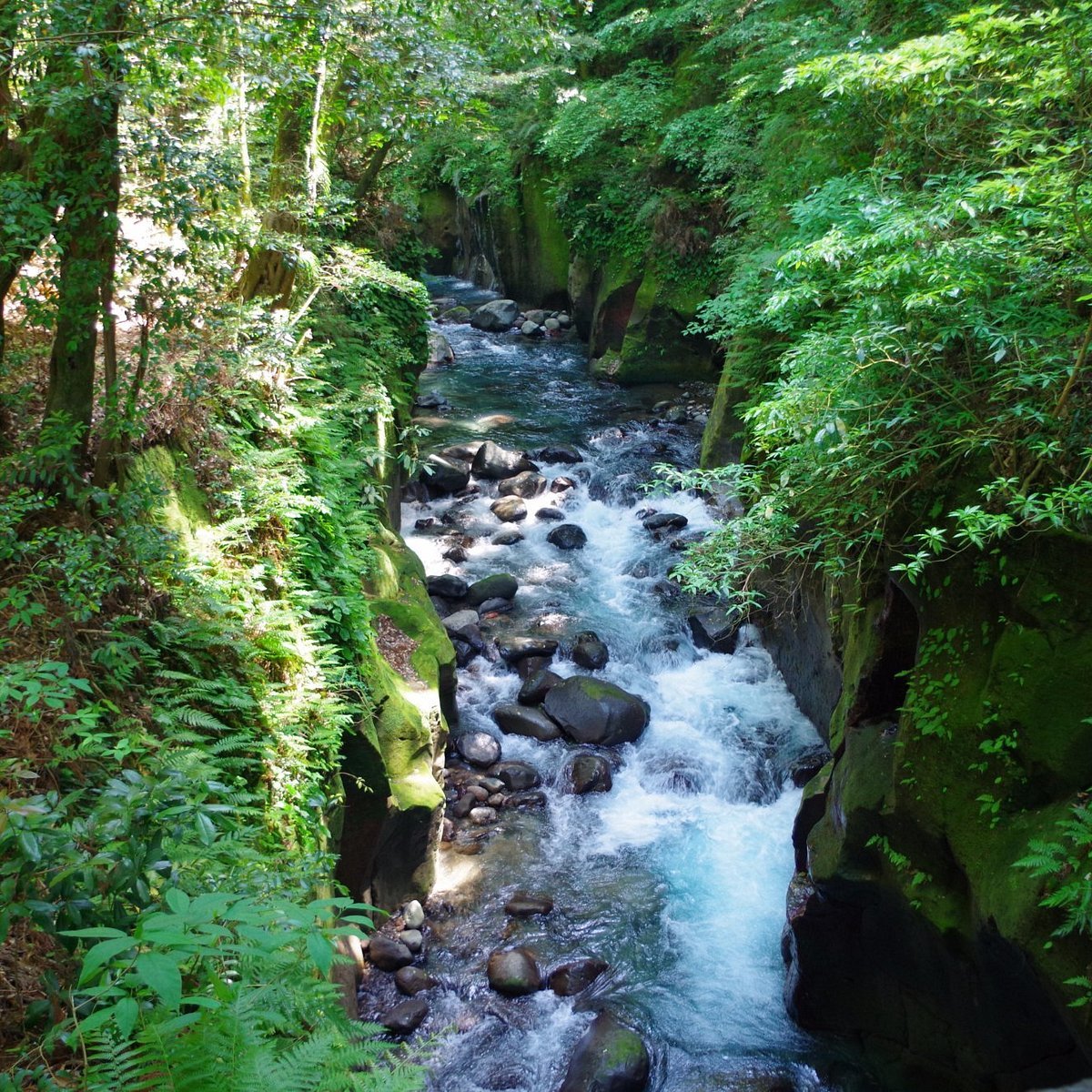 🏞️ 키리시마 신수 협곡 (키리시마 신스이쿄) 이미지 5